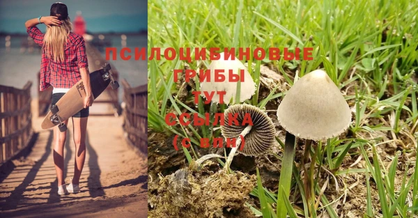 трава Нефтегорск