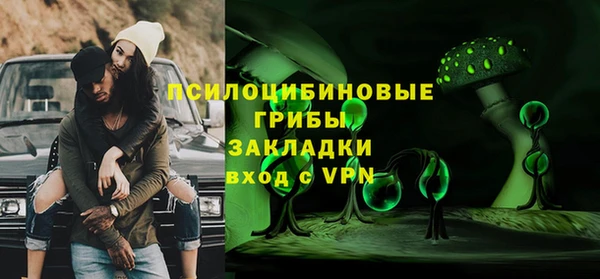 индика Нефтекумск