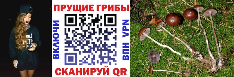 купить наркотик  Фёдоровский  даркнет клад  Галлюциногенные грибы мухоморы 